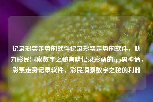 记录彩票走势的软件记录彩票走势的软件，助力彩民洞察数字之秘有啥记录彩票的app黑神话，彩票走势记录软件，彩民洞察数字之秘的利器