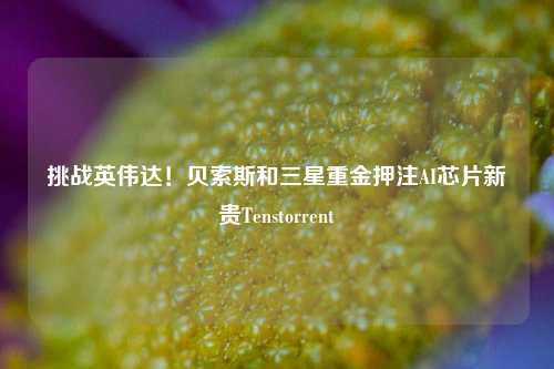 挑战英伟达！贝索斯和三星重金押注AI芯片新贵Tenstorrent