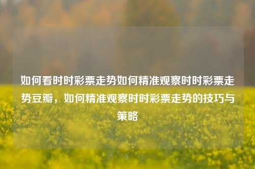 如何看时时彩票走势如何精准观察时时彩票走势豆瓣，如何精准观察时时彩票走势的技巧与策略