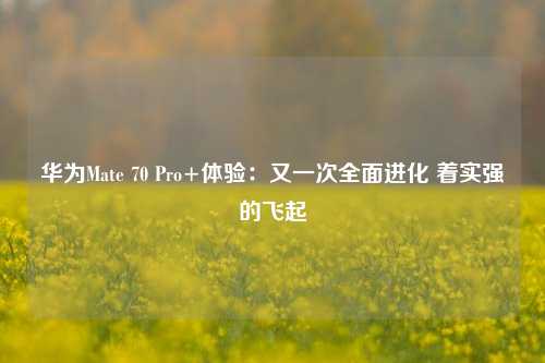 华为Mate 70 Pro+体验：又一次全面进化 着实强的飞起