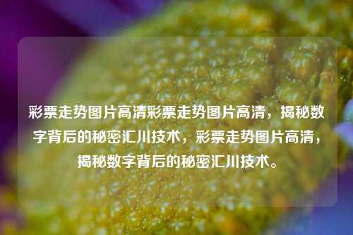 彩票走势图片高清彩票走势图片高清，揭秘数字背后的秘密汇川技术，彩票走势图片高清，揭秘数字背后的秘密汇川技术。