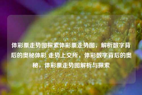 体彩票走势图探索体彩票走势图，解析数字背后的奥秘体彩 走势上交所，体彩数字背后的奥秘，体彩票走势图解析与探索