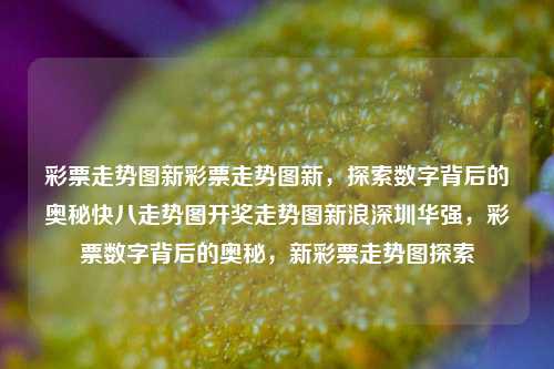 彩票走势图新彩票走势图新，探索数字背后的奥秘快八走势图开奖走势图新浪深圳华强，彩票数字背后的奥秘，新彩票走势图探索