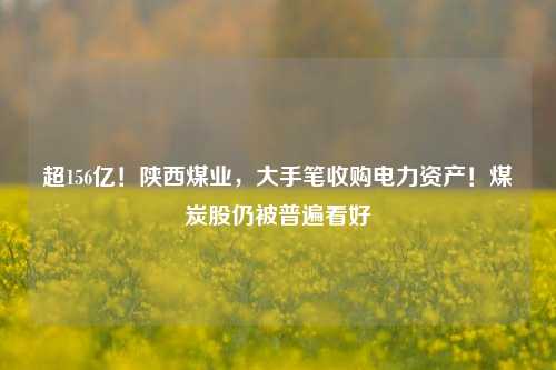 超156亿！陕西煤业，大手笔收购电力资产！煤炭股仍被普遍看好