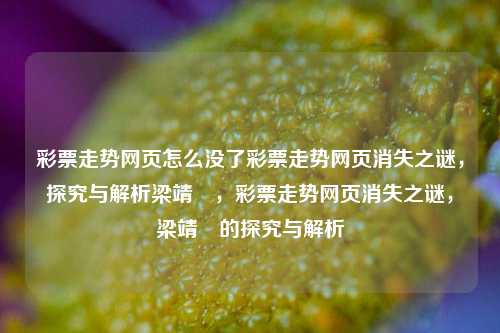 彩票走势网页怎么没了彩票走势网页消失之谜，探究与解析梁靖崑，彩票走势网页消失之谜，梁靖崑的探究与解析