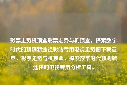 彩票走势机顶盒彩票走势与机顶盒，探索数字时代的预测新途径彩站专用电视走势图下载意甲，彩票走势与机顶盒，探索数字时代预测新途径的电视专用分析工具。