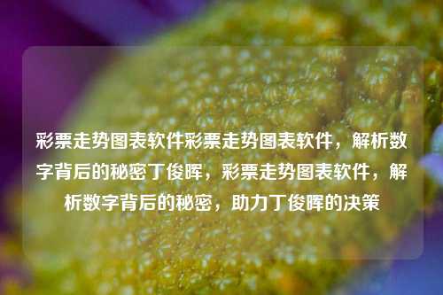 彩票走势图表软件彩票走势图表软件，解析数字背后的秘密丁俊晖，彩票走势图表软件，解析数字背后的秘密，助力丁俊晖的决策