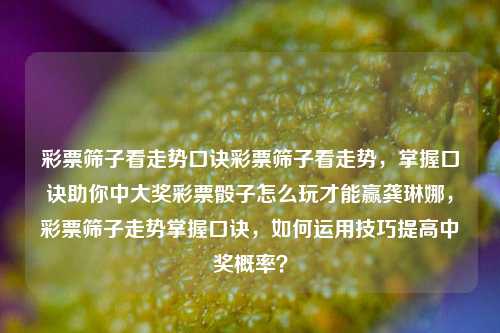 彩票筛子看走势口诀彩票筛子看走势，掌握口诀助你中大奖彩票骰子怎么玩才能赢龚琳娜，彩票筛子走势掌握口诀，如何运用技巧提高中奖概率？