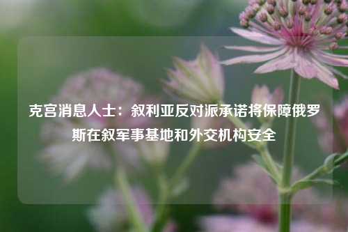 克宫消息人士：叙利亚反对派承诺将保障俄罗斯在叙军事基地和外交机构安全