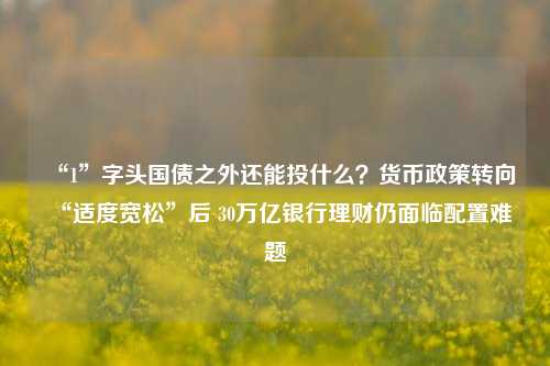 “1”字头国债之外还能投什么？货币政策转向“适度宽松”后 30万亿银行理财仍面临配置难题