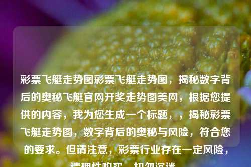 彩票飞艇走势图彩票飞艇走势图，揭秘数字背后的奥秘飞艇官网开奖走势图美网，根据您提供的内容，我为您生成一个标题，，揭秘彩票飞艇走势图，数字背后的奥秘与风险，符合您的要求。但请注意，彩票行业存在一定风险，请理性购买，切勿沉迷。