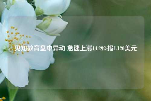 见知教育盘中异动 急速上涨14.29%报1.120美元