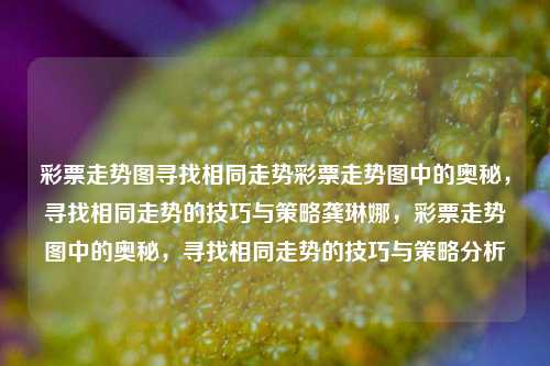 彩票走势图寻找相同走势彩票走势图中的奥秘，寻找相同走势的技巧与策略龚琳娜，彩票走势图中的奥秘，寻找相同走势的技巧与策略分析