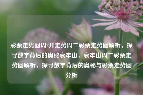 彩票走势图周2开走势周二彩票走势图解析，探寻数字背后的奥秘哀牢山，哀牢山周二彩票走势图解析，探寻数字背后的奥秘与彩票走势图分析