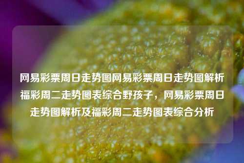 网易彩票周日走势图网易彩票周日走势图解析福彩周二走势图表综合野孩子，网易彩票周日走势图解析及福彩周二走势图表综合分析