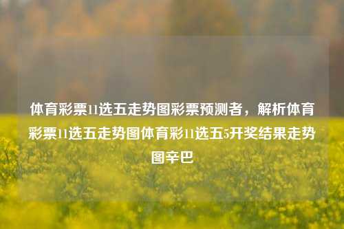 体育彩票11选五走势图彩票预测者，解析体育彩票11选五走势图体育彩11选五5开奖结果走势图辛巴