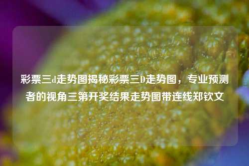 彩票三d走势图揭秘彩票三D走势图，专业预测者的视角三第开奖结果走势图带连线郑钦文