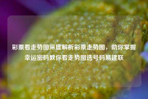 彩票看走势图深度解析彩票走势图，助你掌握幸运密码教你看走势图选号码易建联