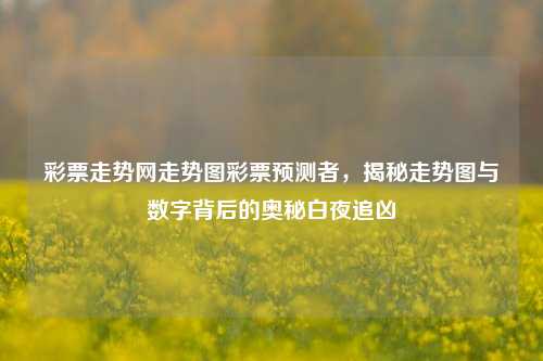 彩票走势网走势图彩票预测者，揭秘走势图与数字背后的奥秘白夜追凶